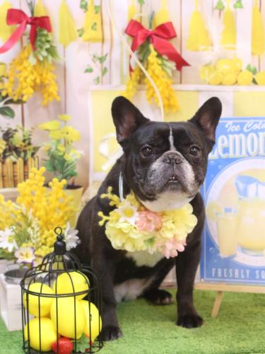 20240413スミレちゃん